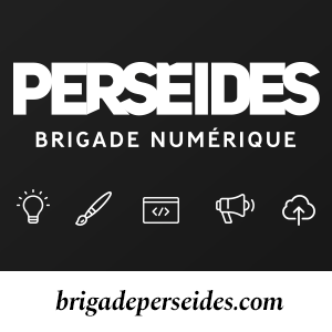 Perséides Brigade Numérique
